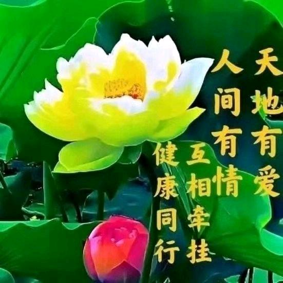 🌹洋和之家🌹
