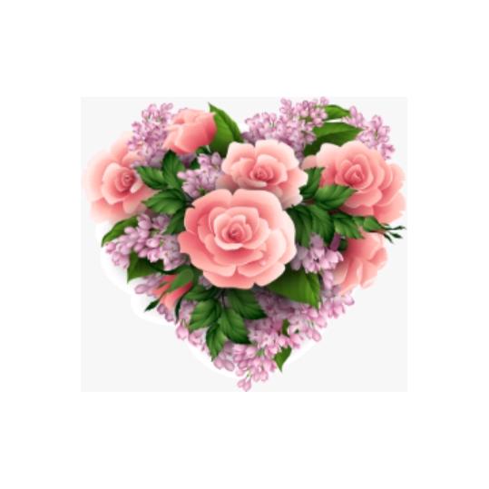 浅浅的岁月！深深的吻