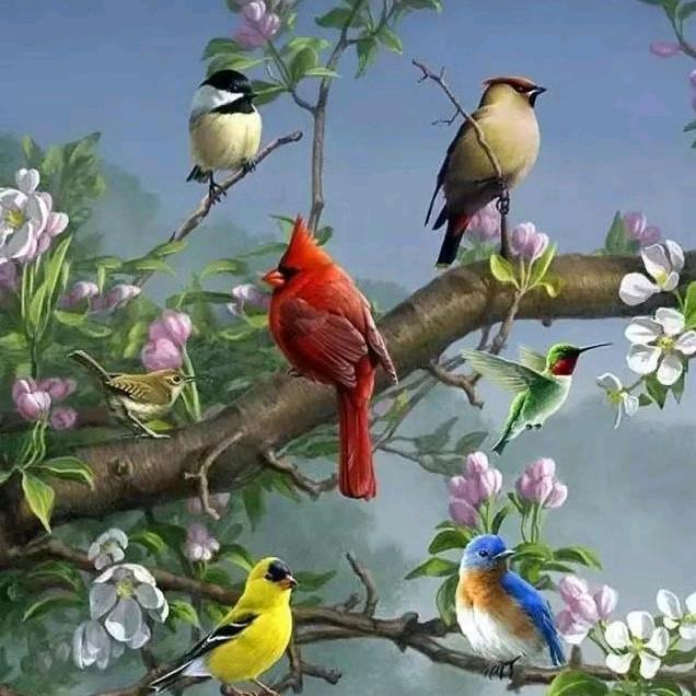 爱你🍒🌹🍒🌹