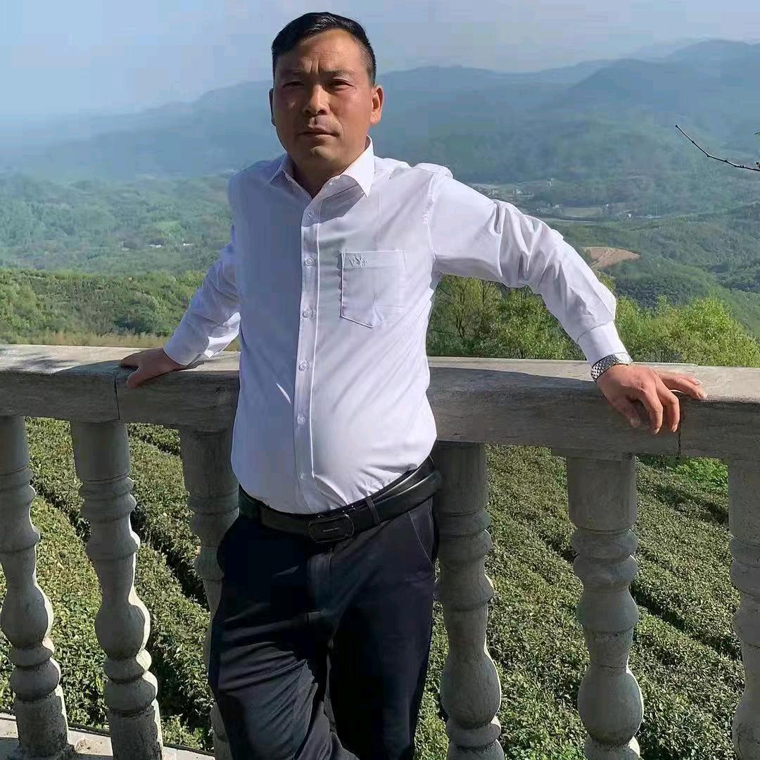 如初岁月
