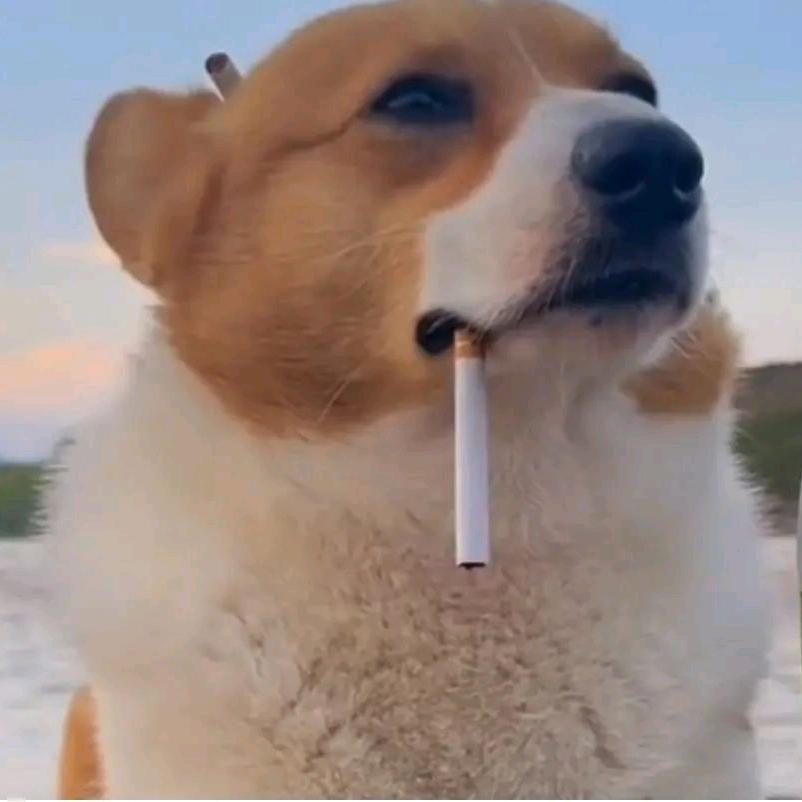 子敬爱玩游戏