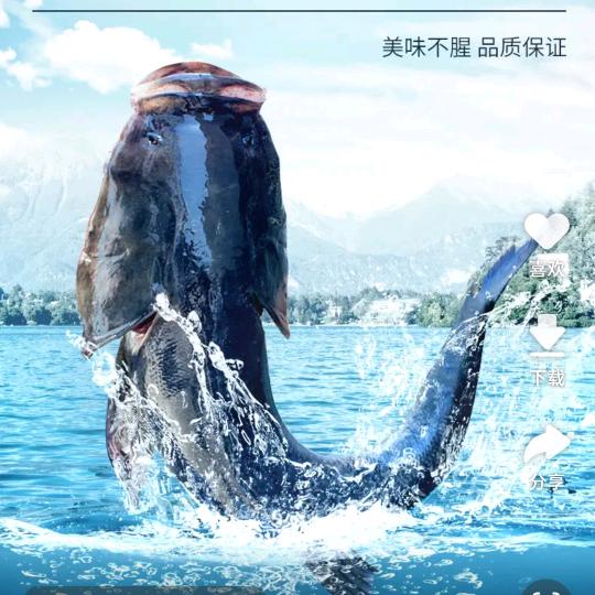 《浙碗菜》@老厨