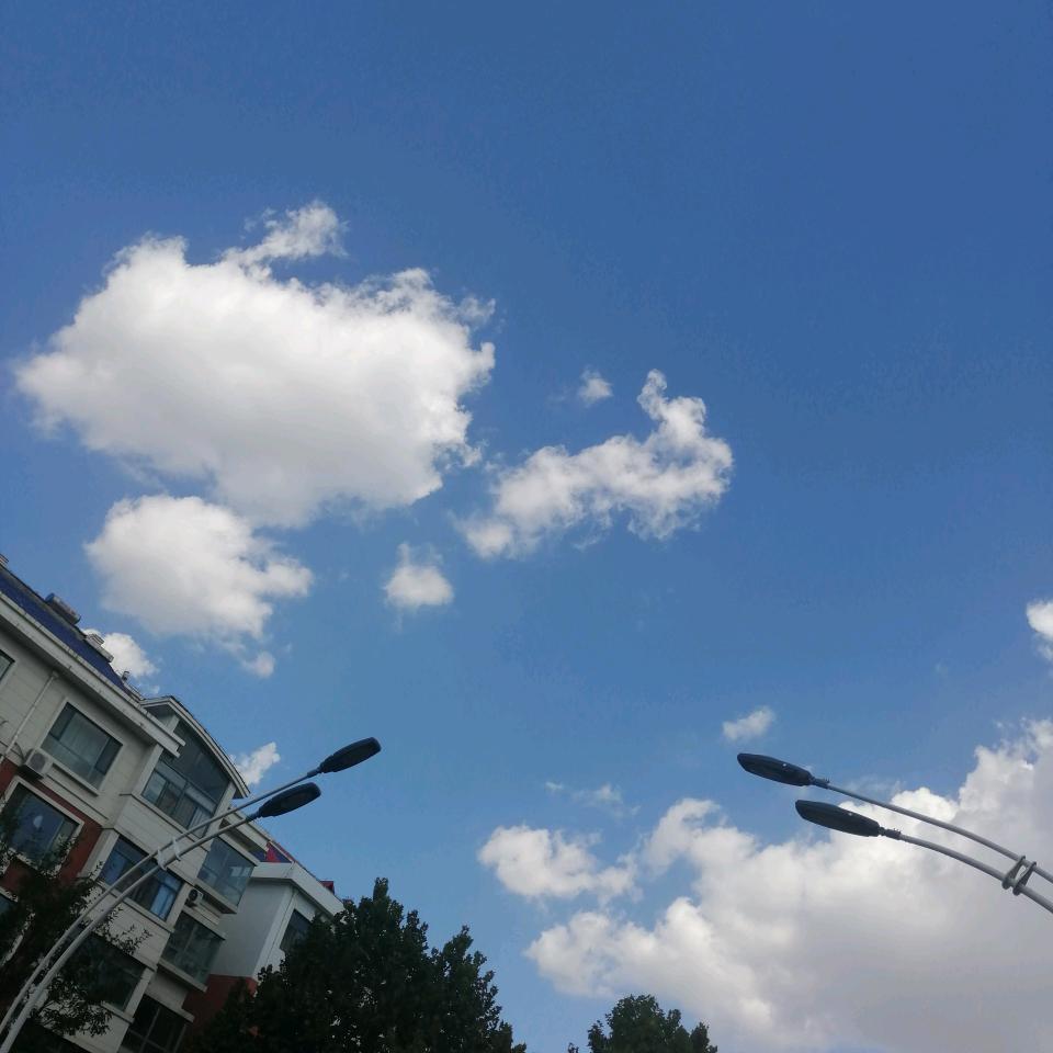阳光灿烂😇