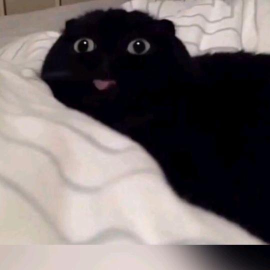 炒米粉