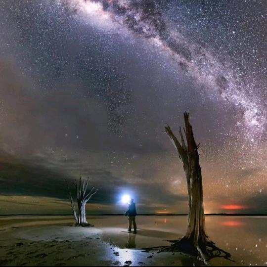 紫王星
