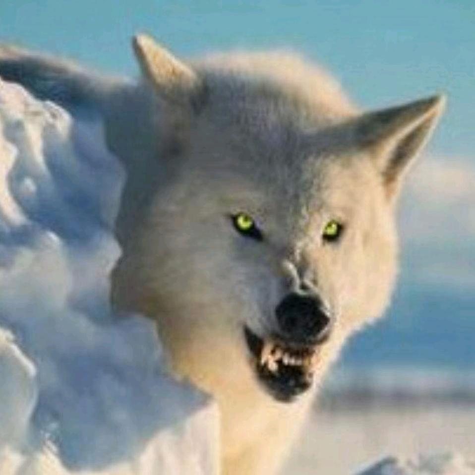 八零后单身创业大叔