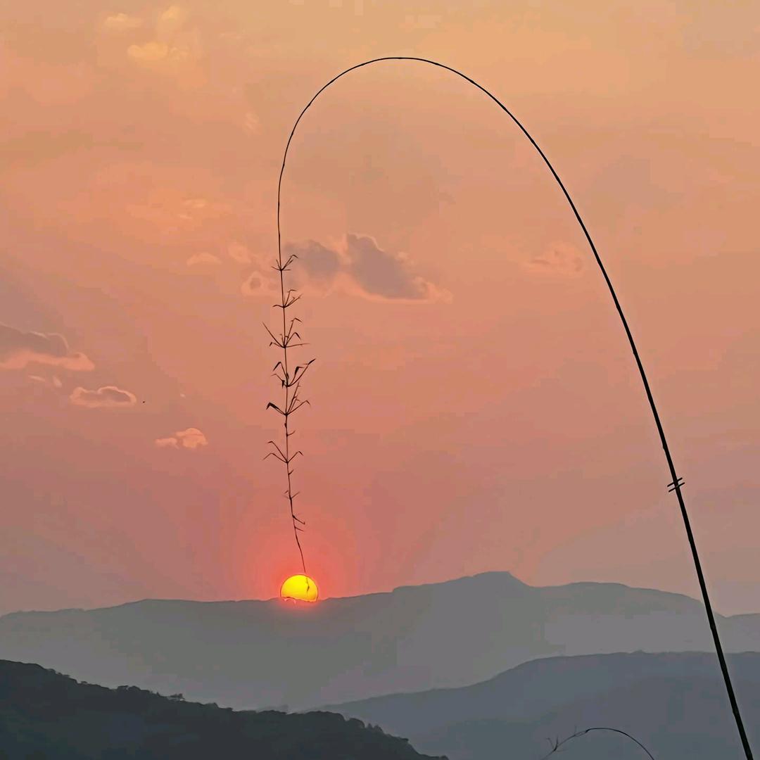 見山