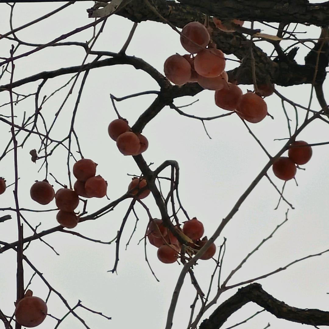 鑫盛源酒家（小河口山野农庄）