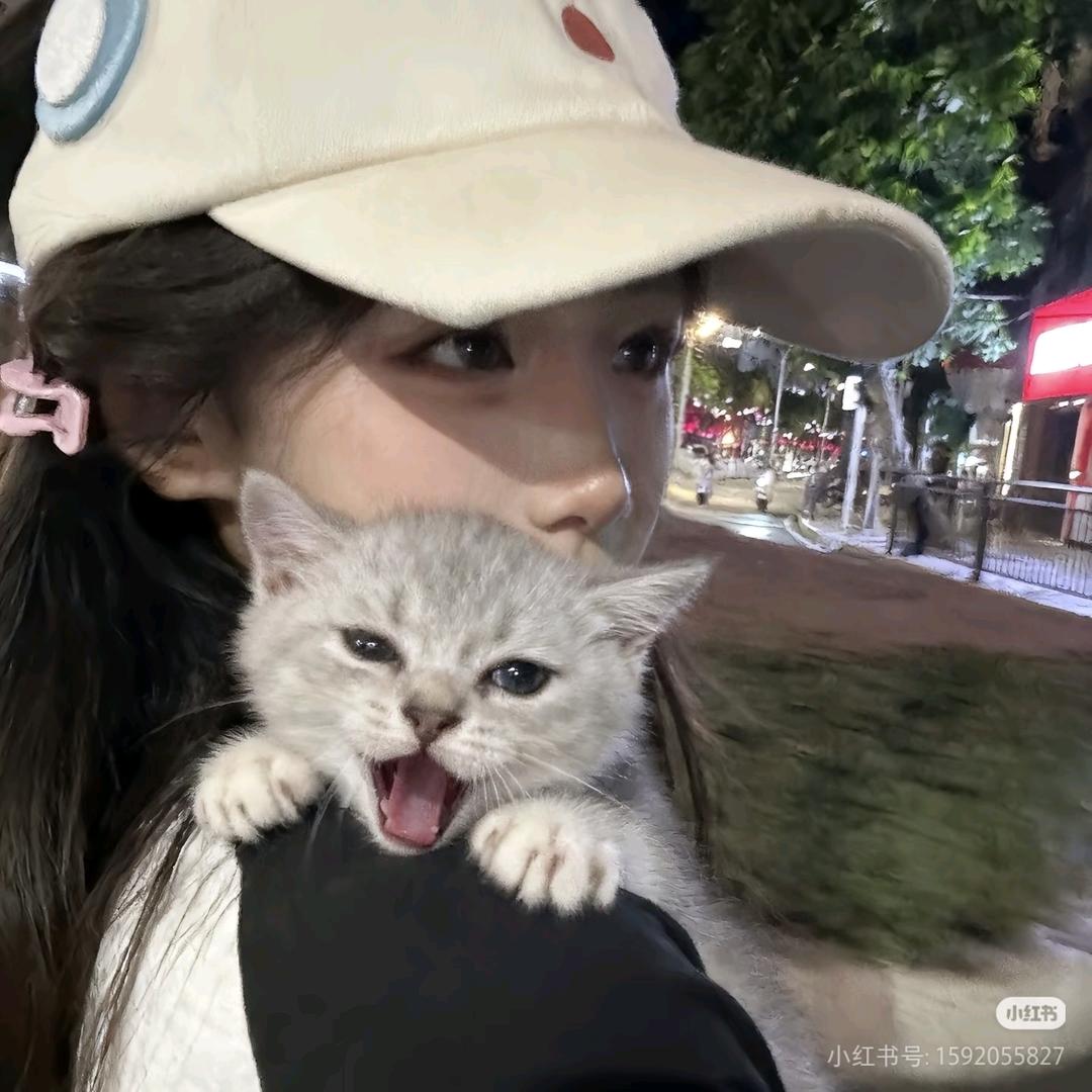 ʜᴀᴘᴘʏ̆̈ ～ 🐾