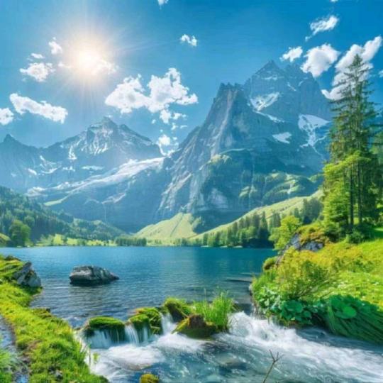 商超，餐饮软件