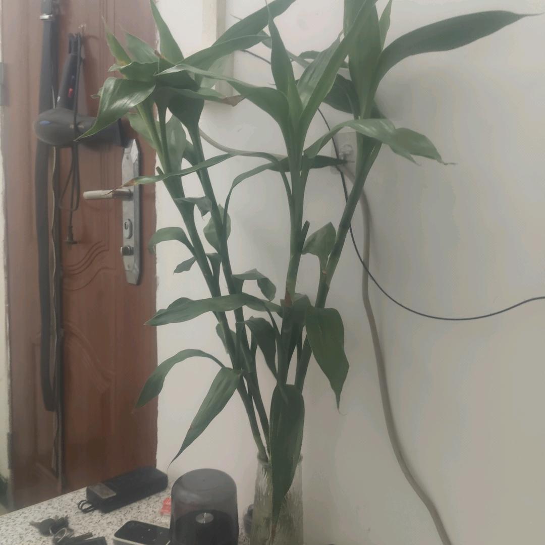 秋～风～落～叶