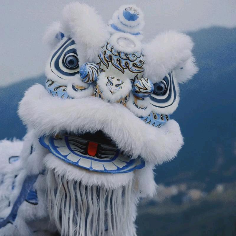 贵阳生态城麻将机店🇨🇳