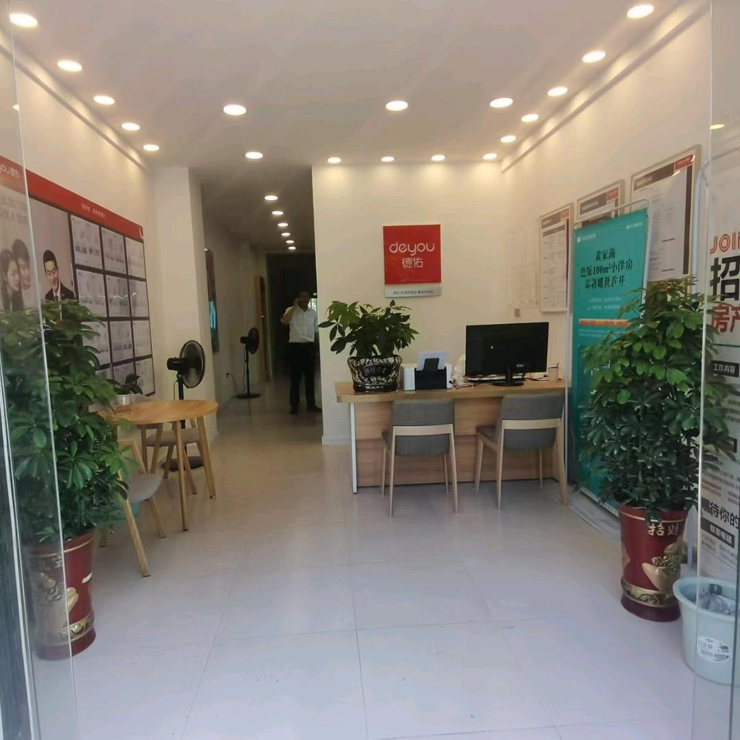 陈   鑫