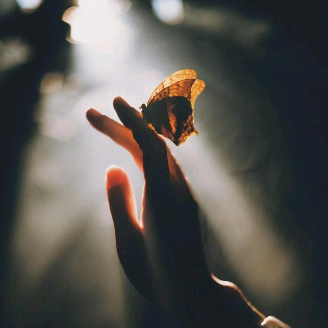 🦋এxiao᭄🦋chenএ᭄