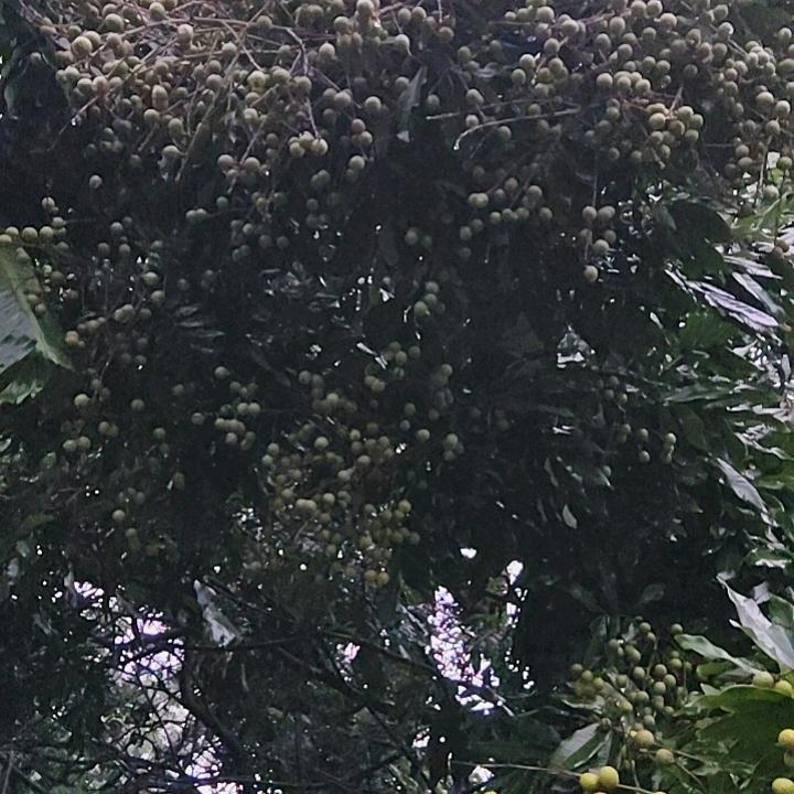 走进花花的世界