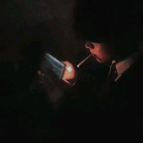 会飞的鸭儿
