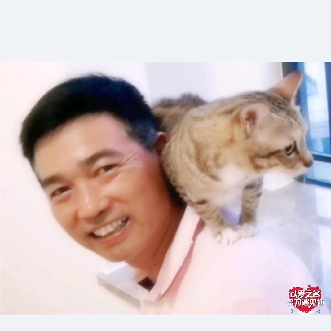 逸飞的橱窗