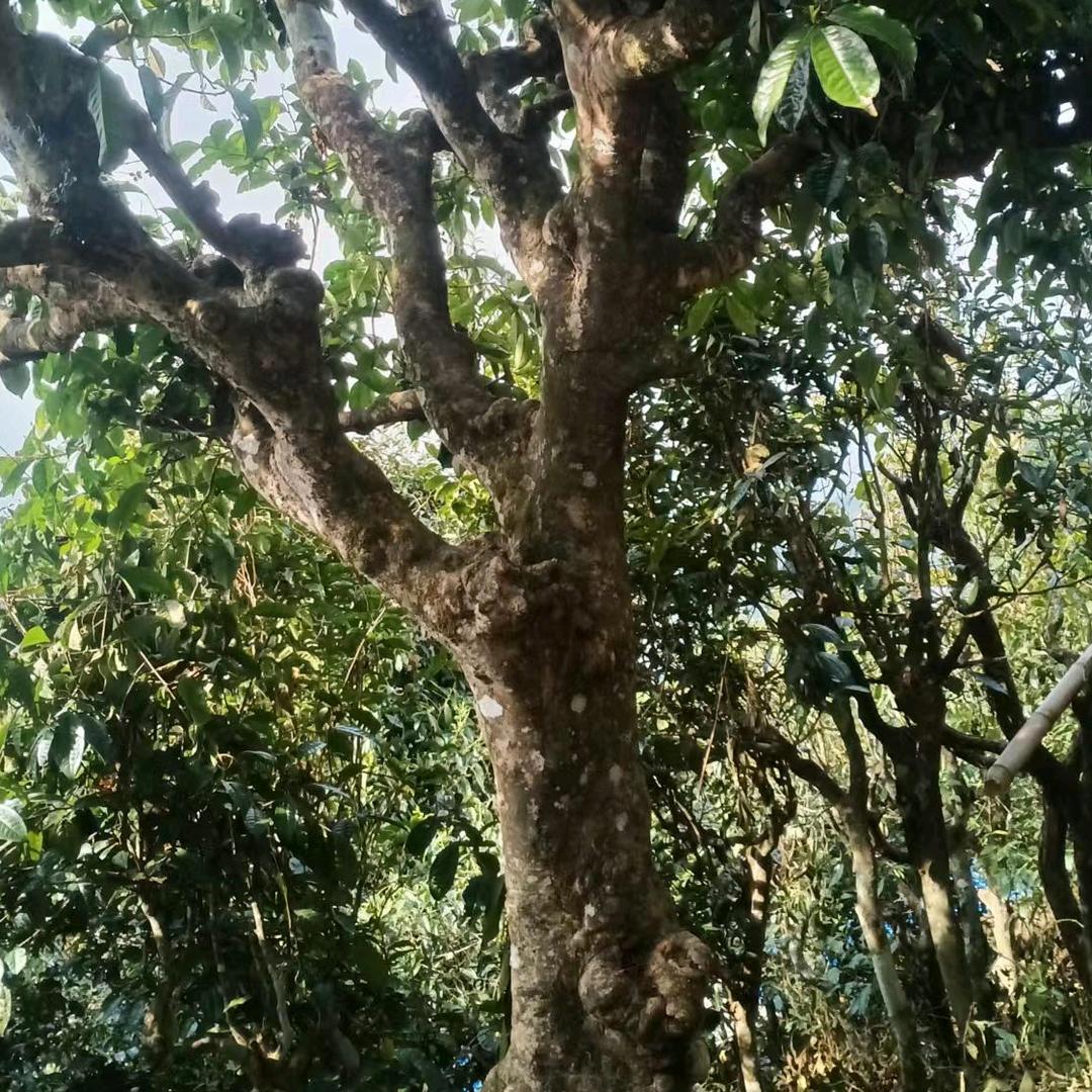 帮过我的人，不能忘，