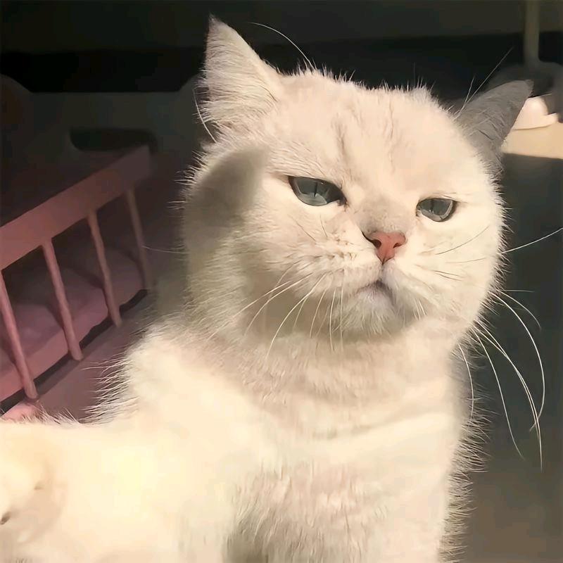 毛毛虫没烦恼