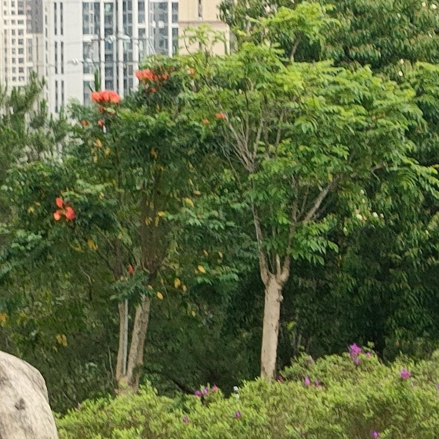 霓汐好物优选