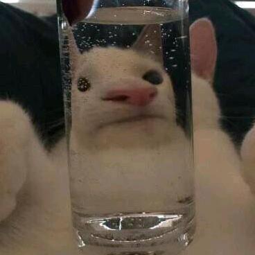 (̿▀̿ ̿Ĺ̯̿̿▀̿ ̿)