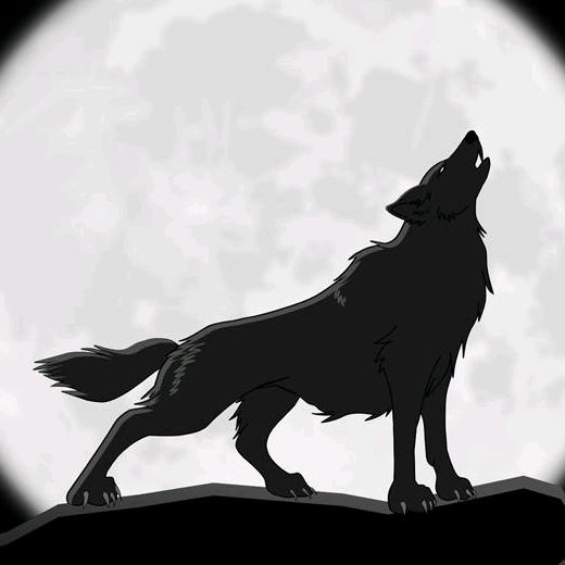 启拓之猎狼夏令营