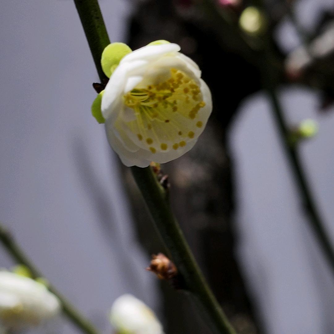 长兴新诚纺织有限公司