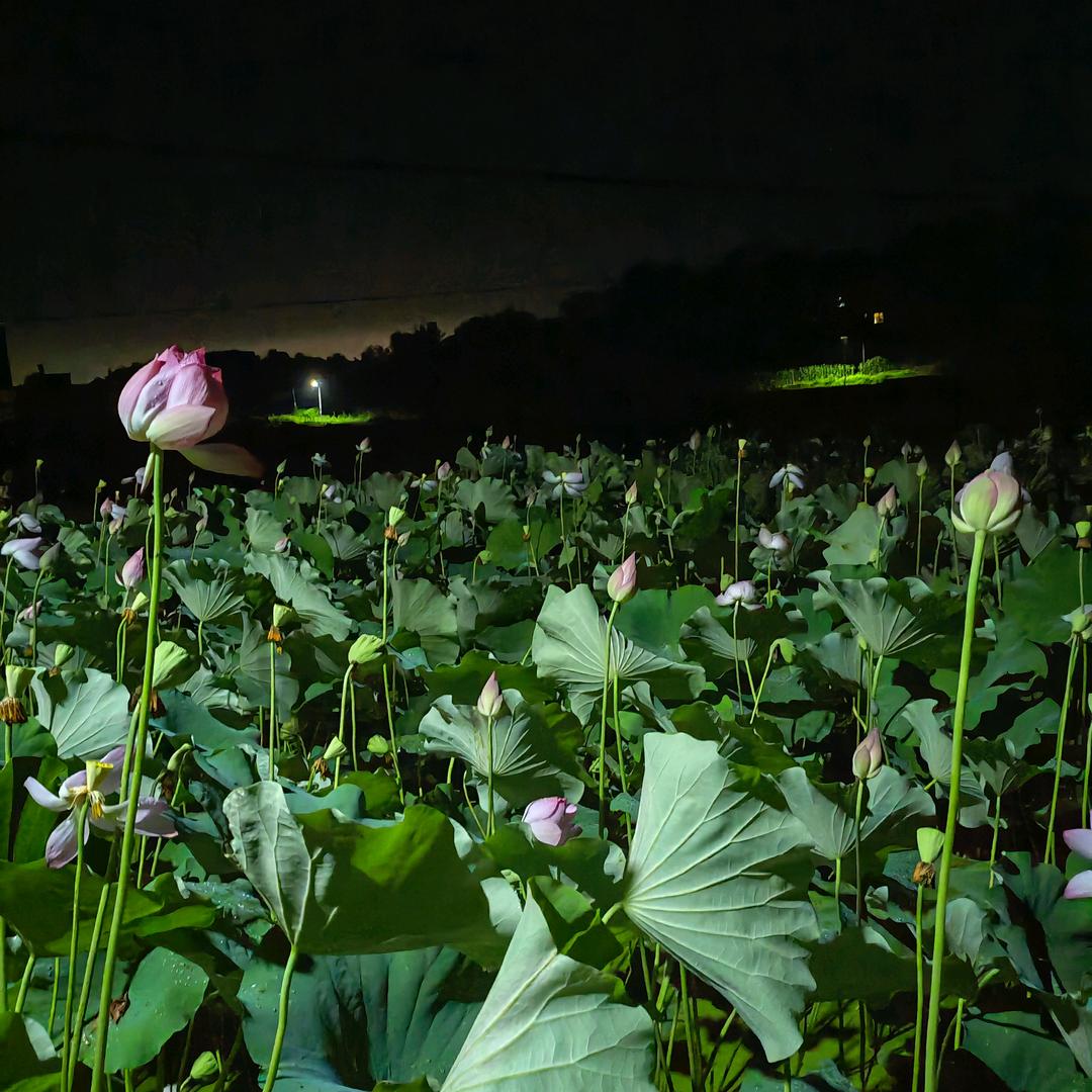 78983445348的头像