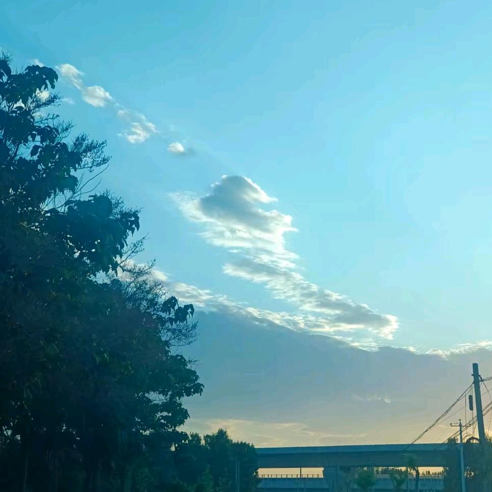 ꧁꫞꯭北葵向暖꫞꧂