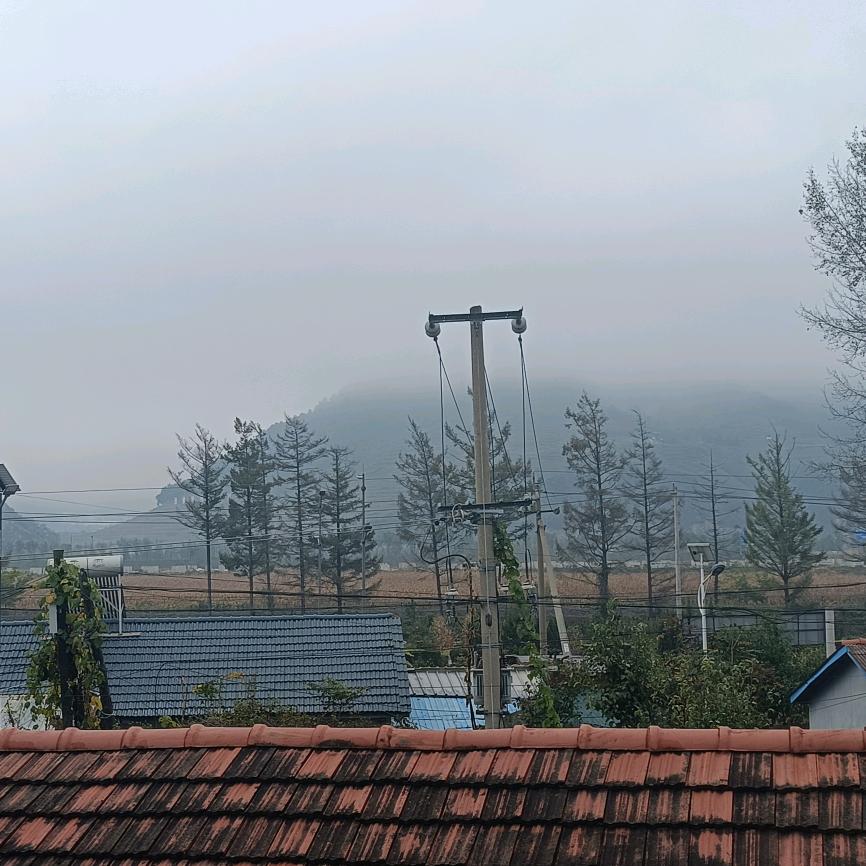 情以断，心已死！