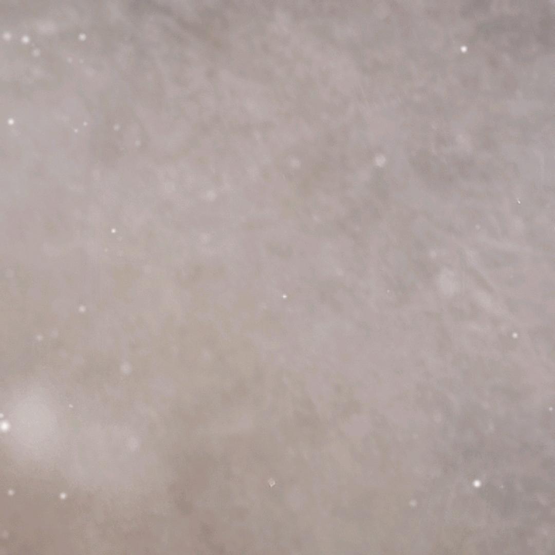 郎郎