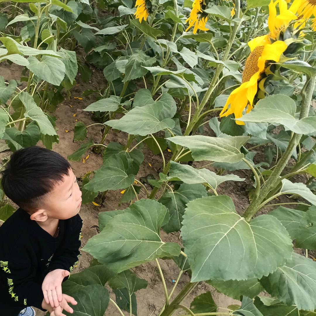 佑佑妈妈（喜欢的点赞加关注，谢谢😊😊