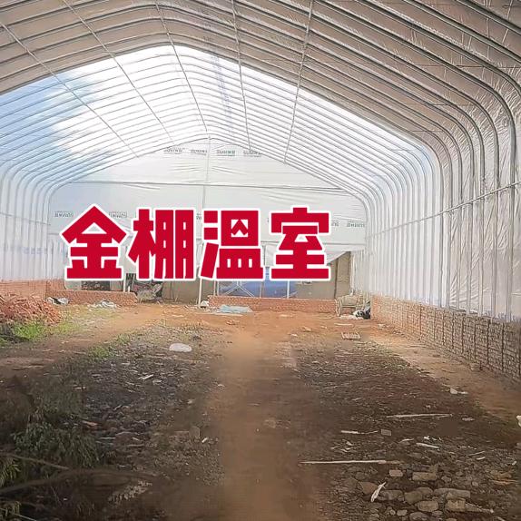 金棚温室大棚
