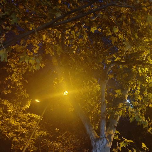 一念永恒～西安金诚博汽配螺丝 轴承