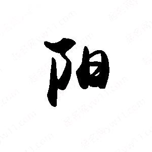 阿拉善苁阳哥特产店