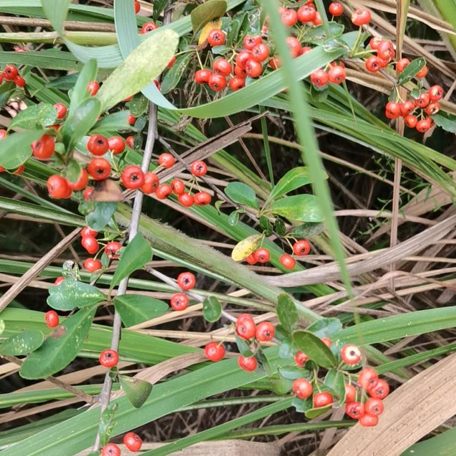 游手好闲