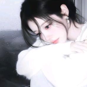 ………………………………