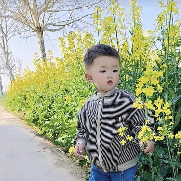 顺其自然，开心就好。