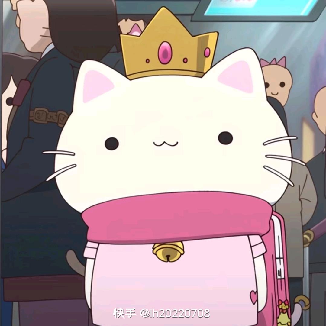 开欣的猫(好运常伴)