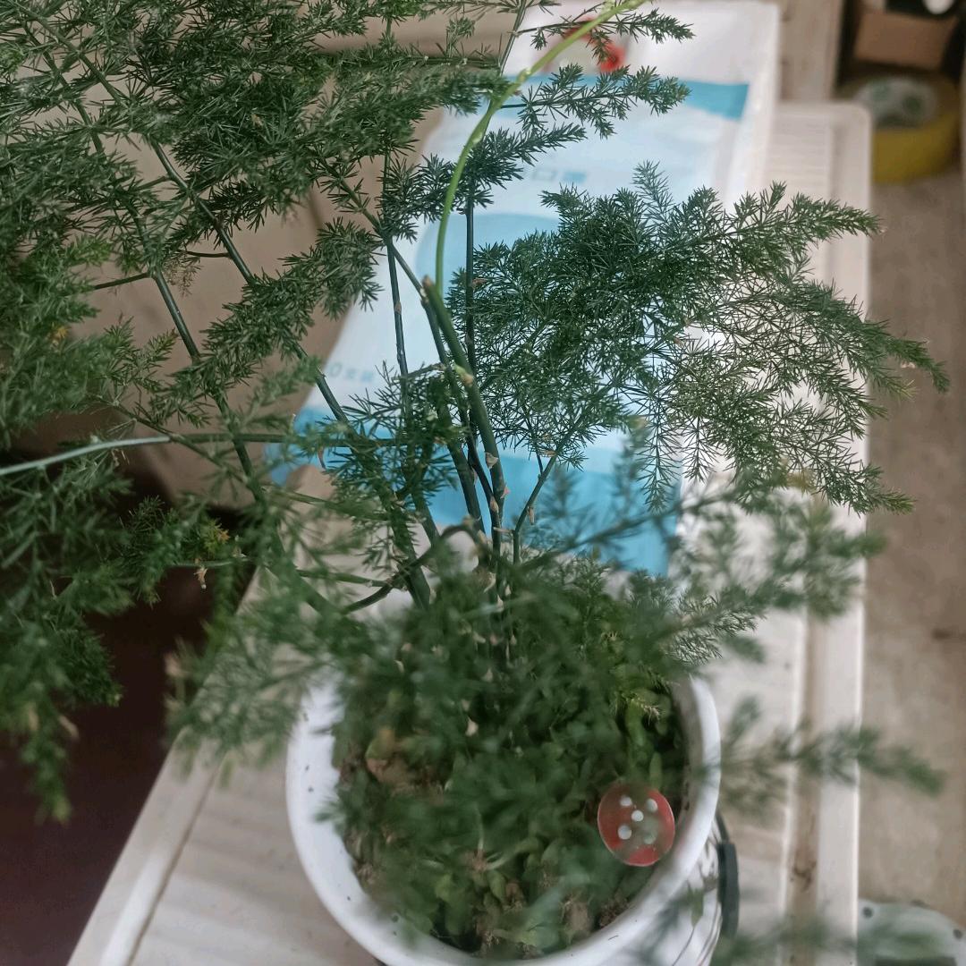 接财神