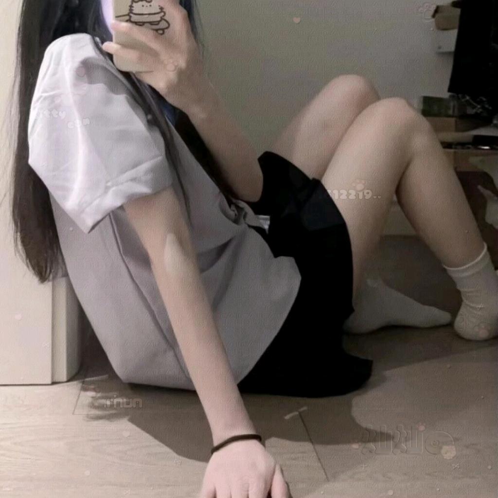 布偶猫