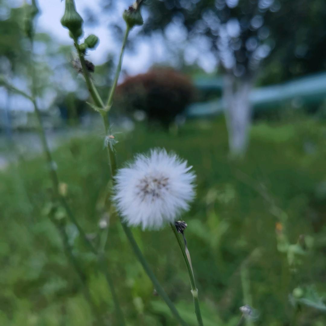 鑫博童装馆