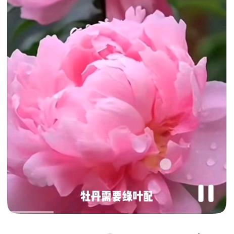 慢🦚点❤️辉🚀