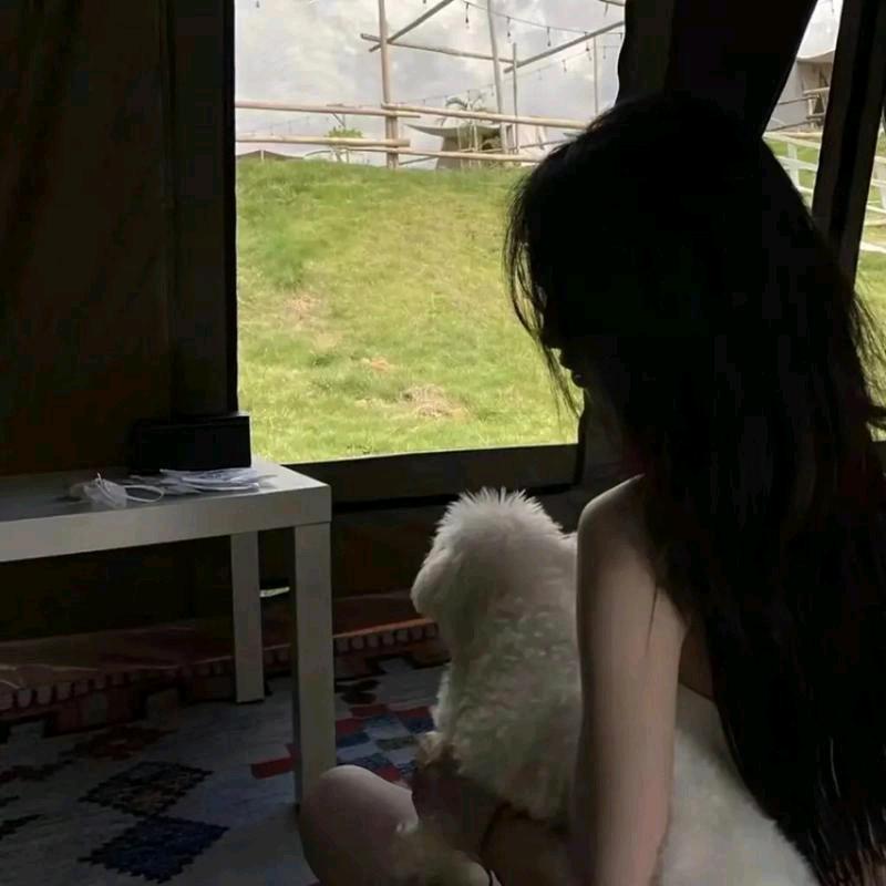 苏苏