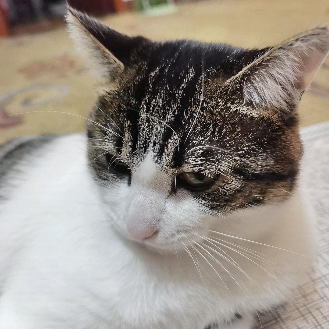 好同志