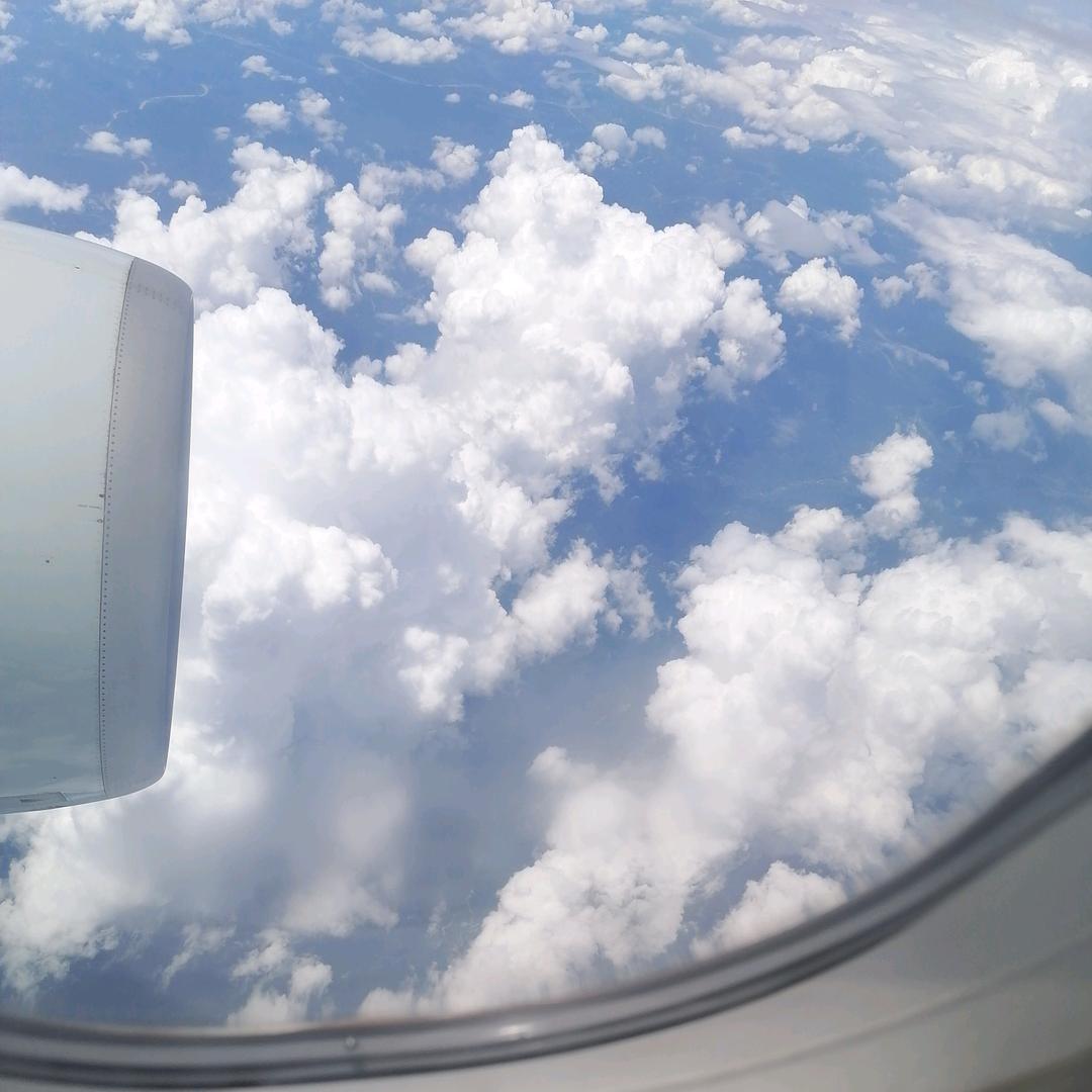 相识是缘分兵怀焕琴思