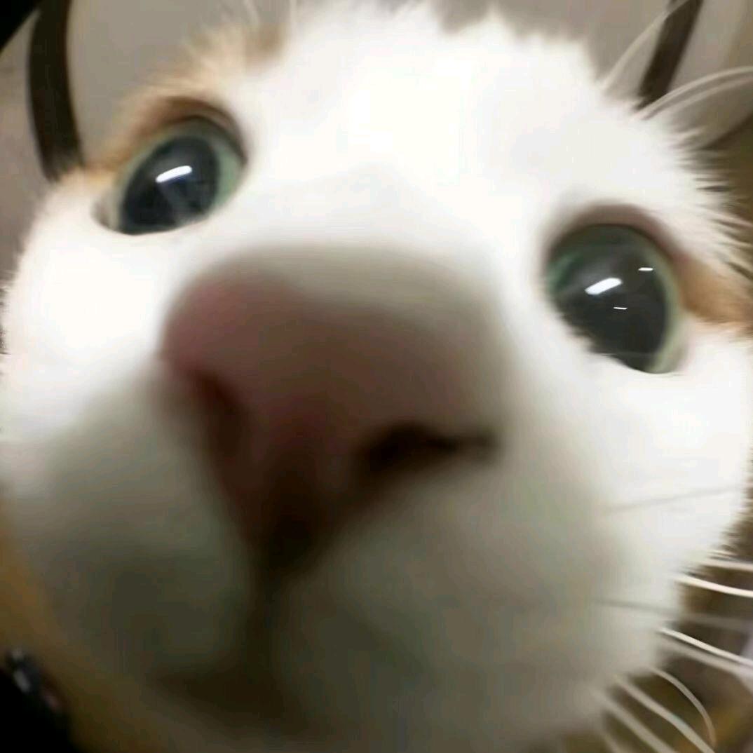 翊声