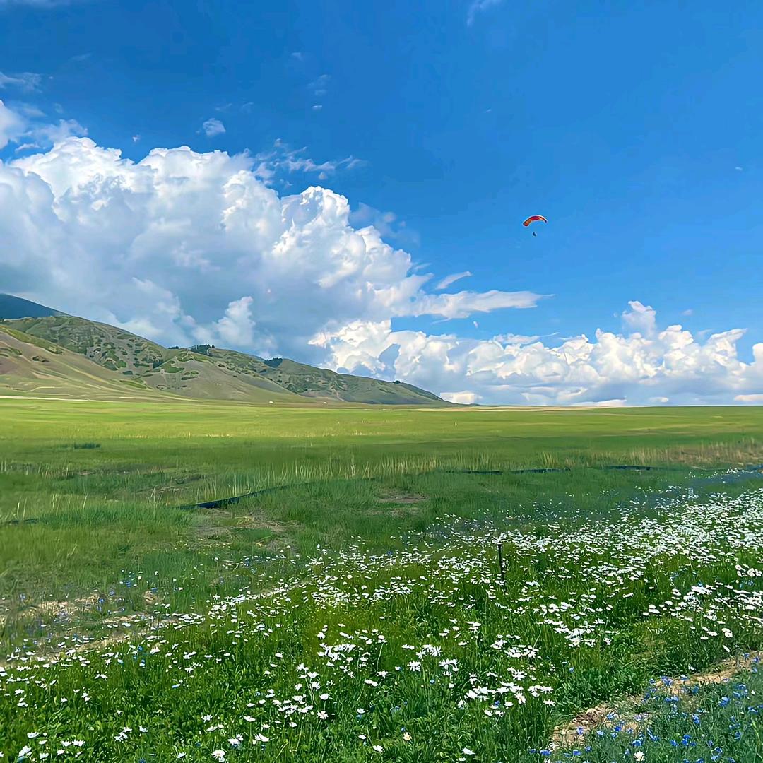 👑武清名师堂👑