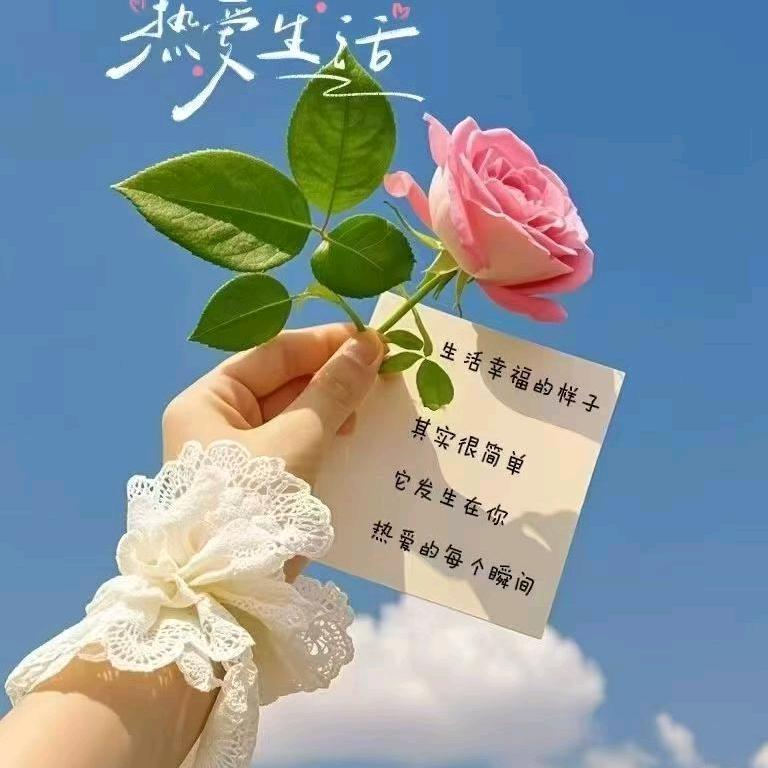 清奇
