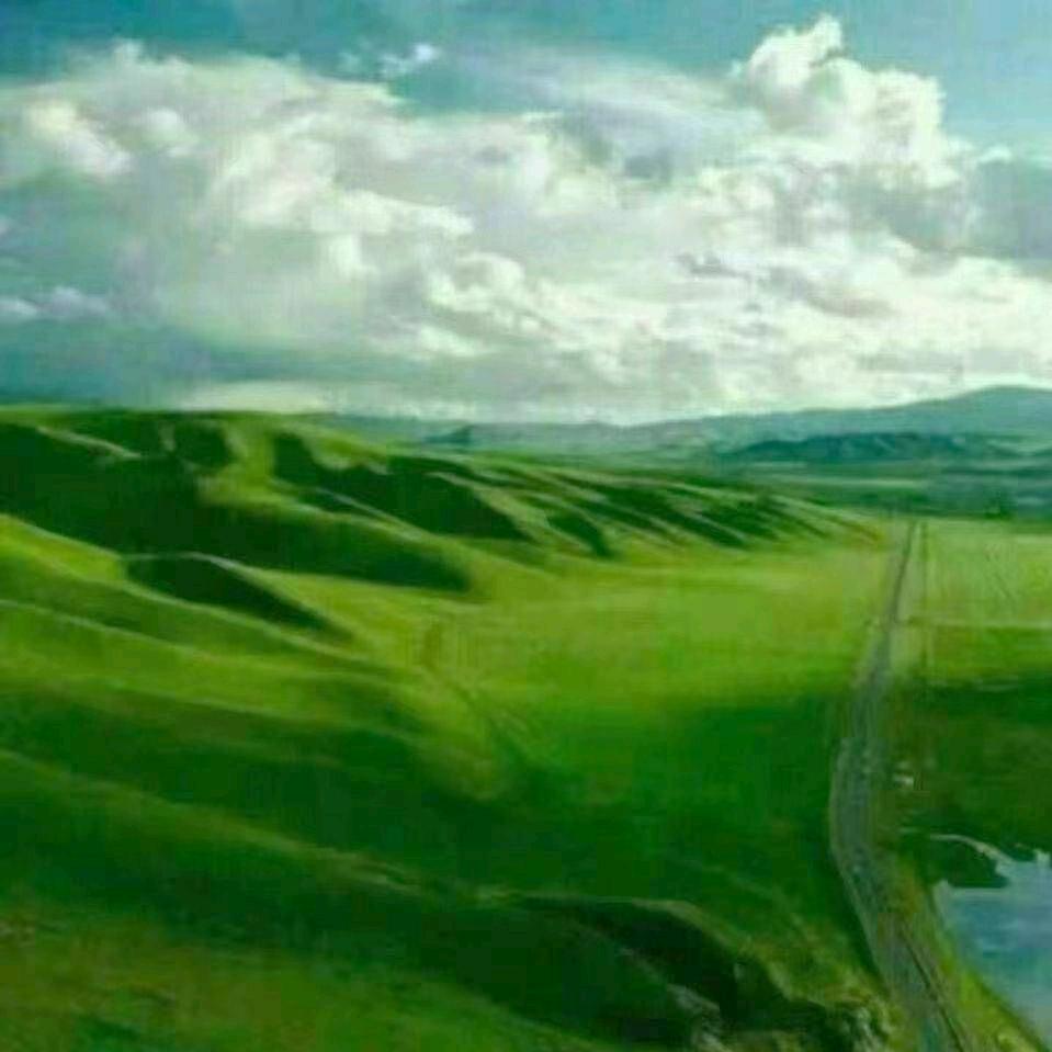 音乐人🎶《冯小全》